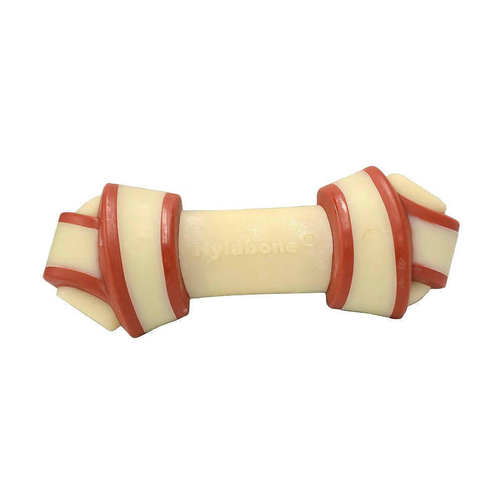 Nylabone Rawhide Alternative Knot Bone - lifestyle image with pet South Africa