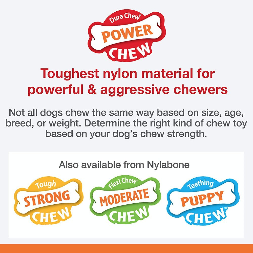 Nylabone Rawhide Alternative Knot Bone - lifestyle image with pet online in South Africa