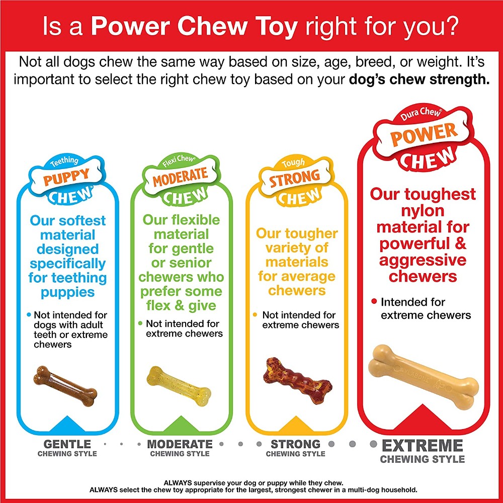 Nylabone Rawhide Alternative Knot Bone - lifestyle image with pet delivered in South Africa