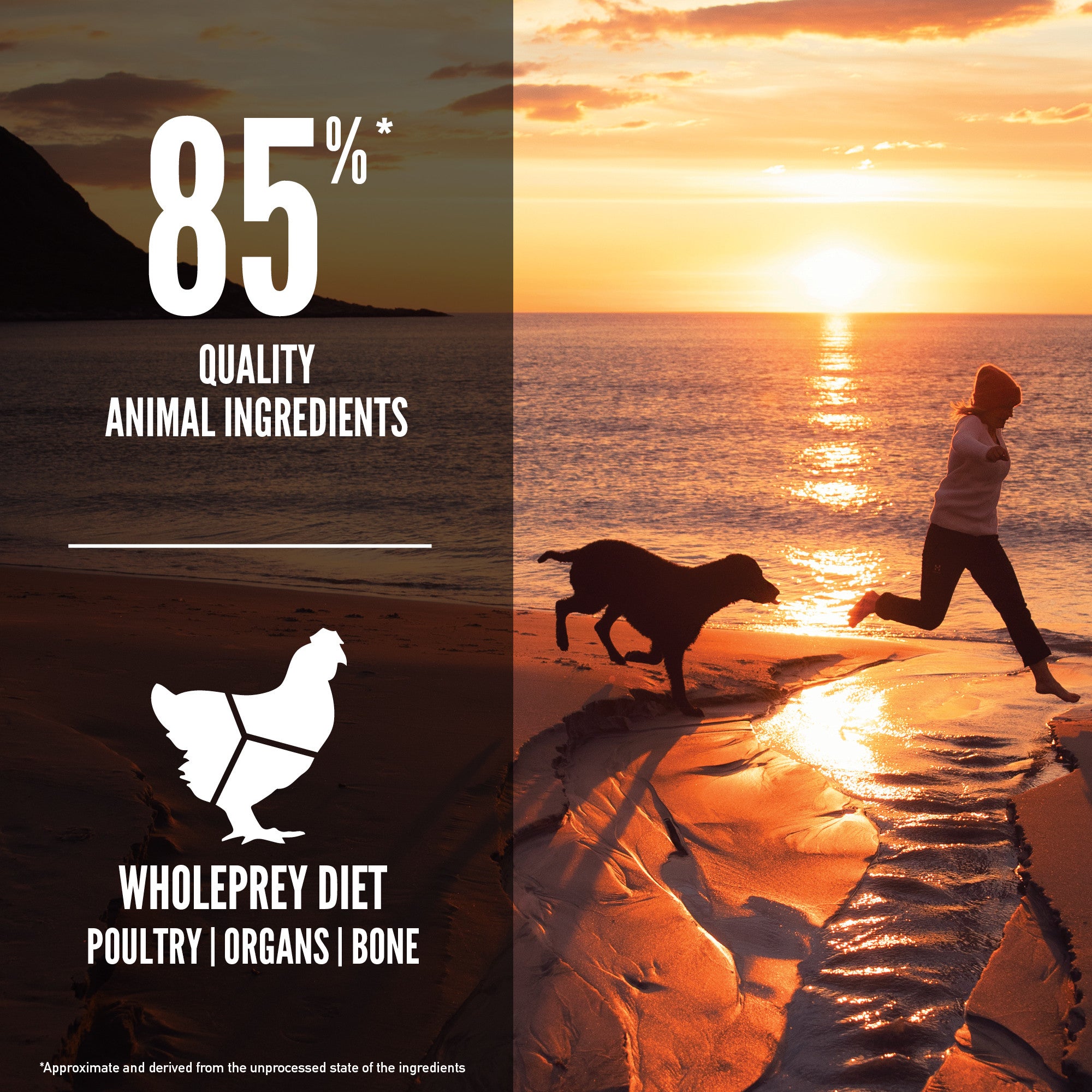 Orijen Fit Trim Buy Dry Dog Food Online Canine Co