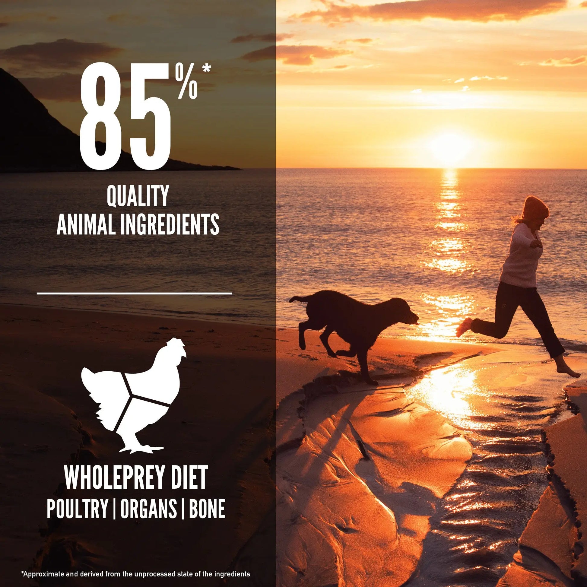 Orijen Fit & Trim Dog – key benefits graphic (available online in South Africa)