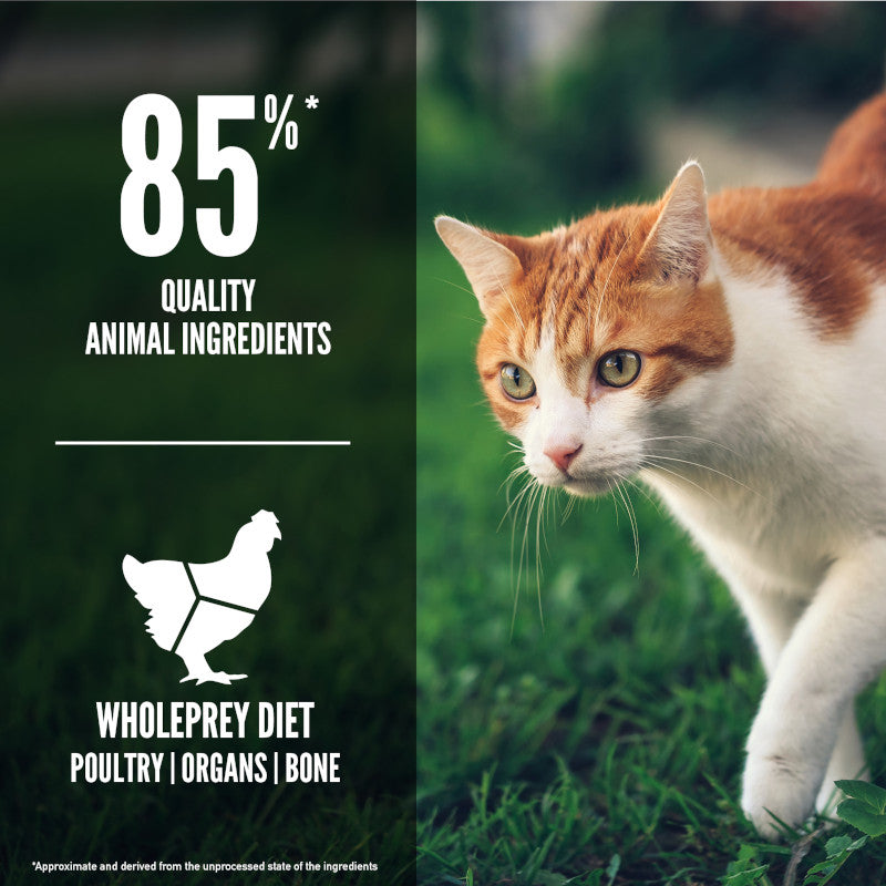 Orijen Fit & Trim Cat – key benefits graphic (buy in South Africa)