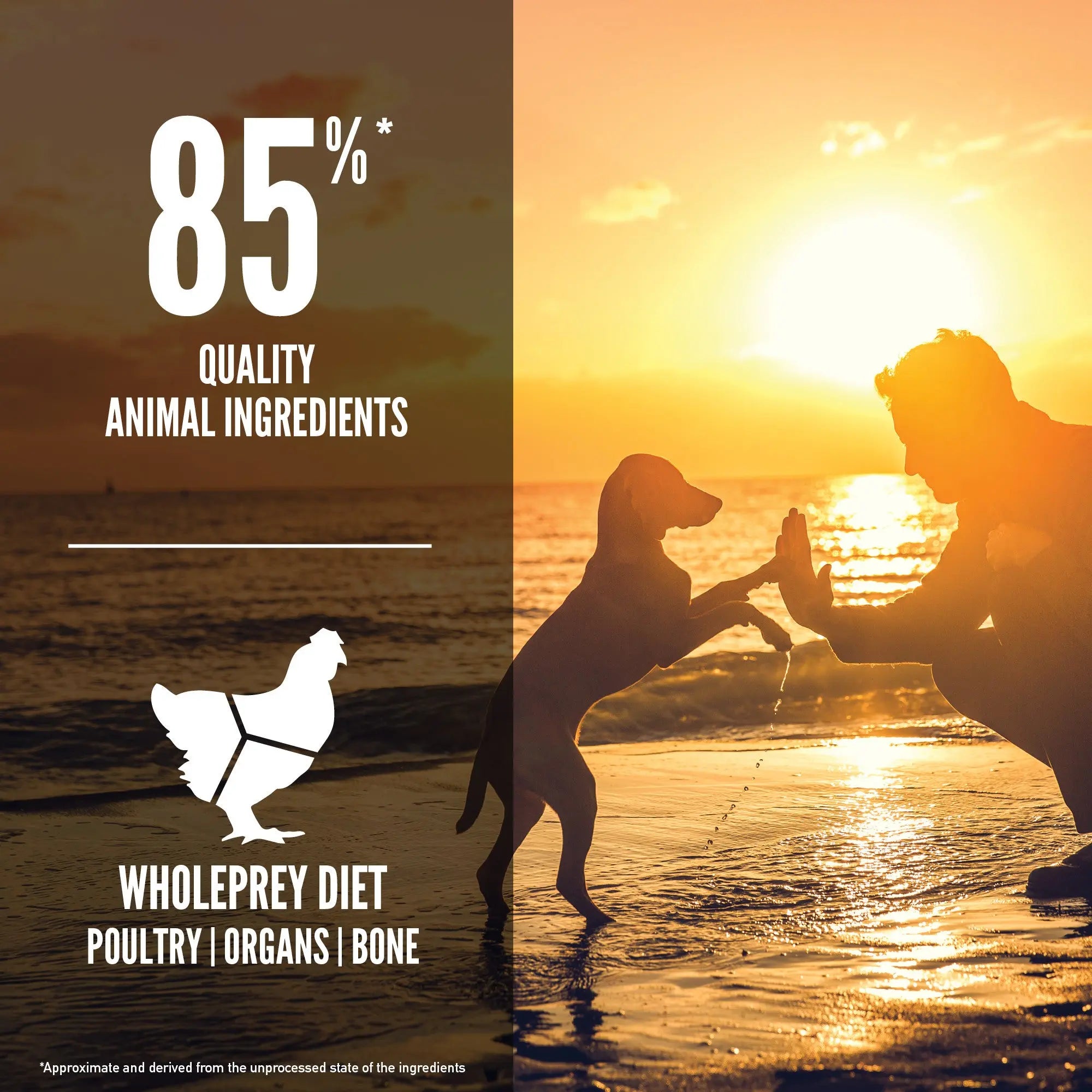 Orijen Puppy – key benefits graphic (Canine & Co (South Africa))