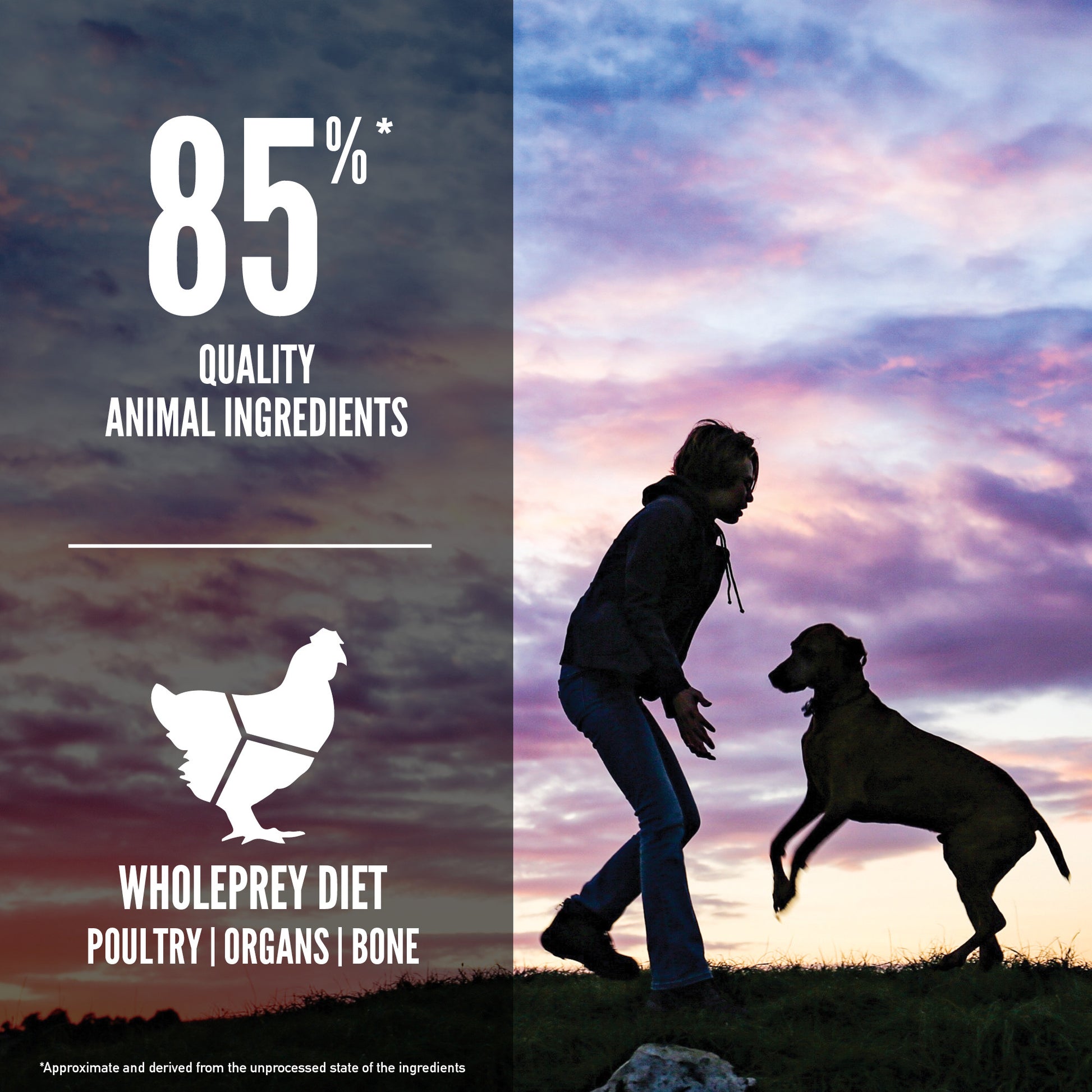 Orijen Puppy Large Breed – key benefits graphic (buy in South Africa)