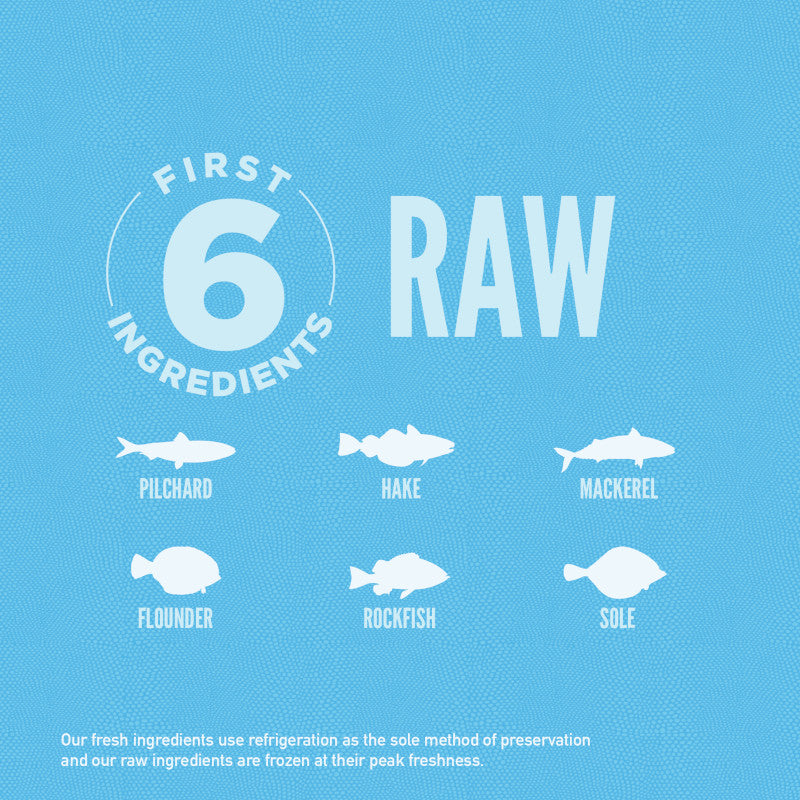 Orijen Six Fish Cat – key benefits graphic (available online in South Africa)