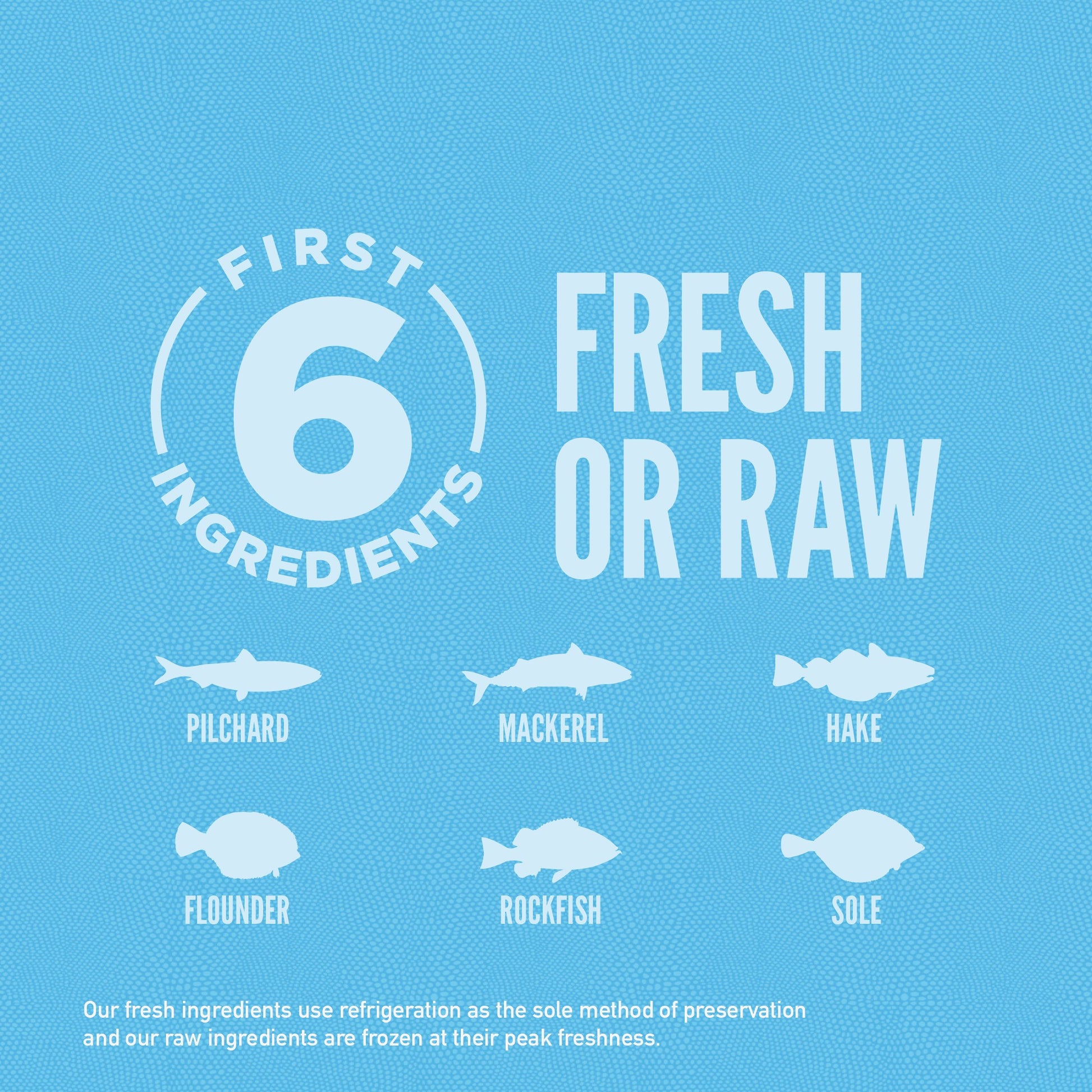 Orijen Six Fish Dog – key benefits graphic (available online in South Africa)