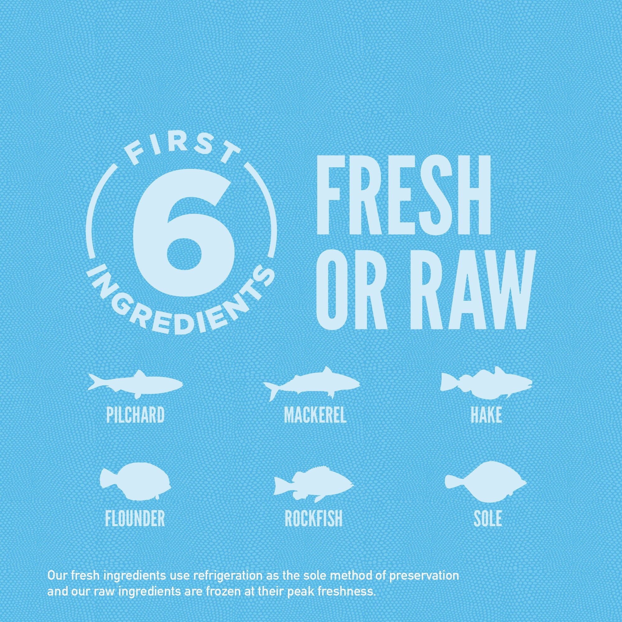 Orijen Six Fish Dog – key benefits graphic (available online in South Africa)