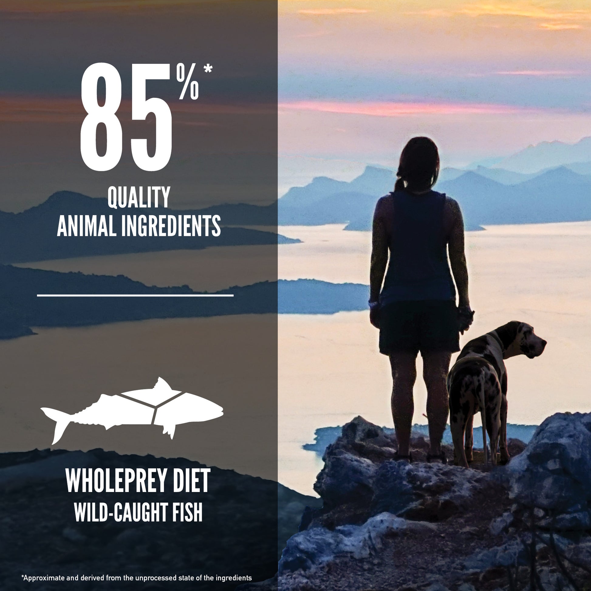 Orijen Six Fish Dog – key benefits graphic (available online in South Africa)