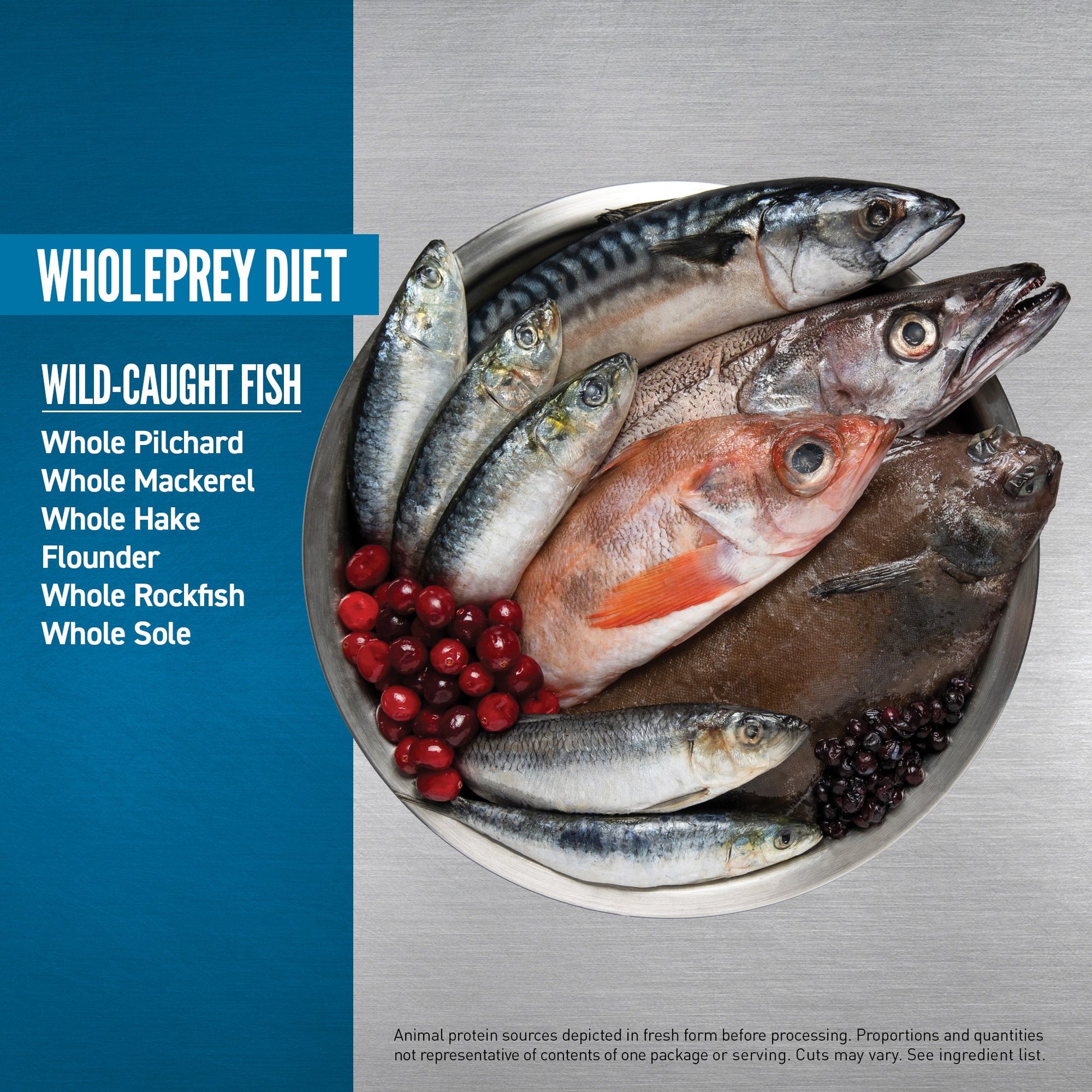 Orijen Six Fish Dog – key benefits graphic (SA)