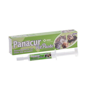 Panacur Pet Paste Plunger - 4.8g