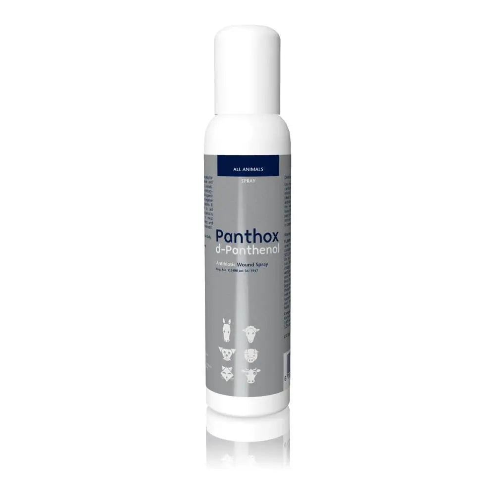 Panthox d-Panthenol Antibiotic Spray 200ml - Plain