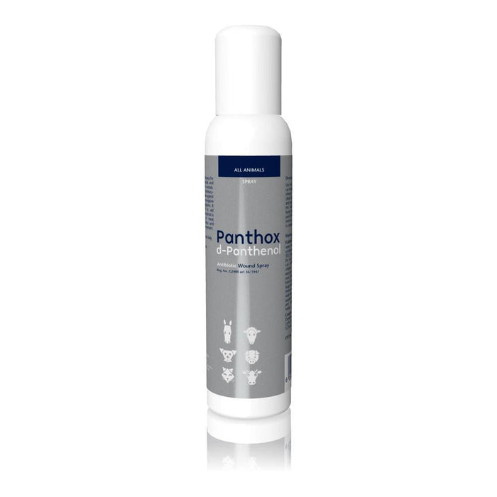 Panthox d-Panthenol (plain) Antibiotic Spray