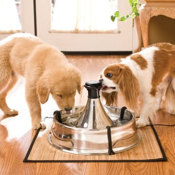 PetSafe Drinkwell 360 Stainless Steel Water Fountain - product detail image shop in South Africa