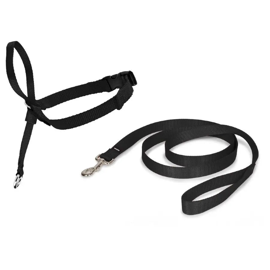 PetSafe Easy Walk Headcollar