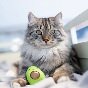 Buy Cat Toy For Cat online