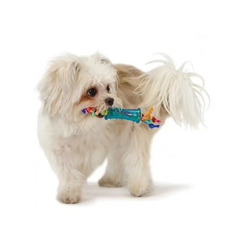 Petstages Mini Dental Chew Pack