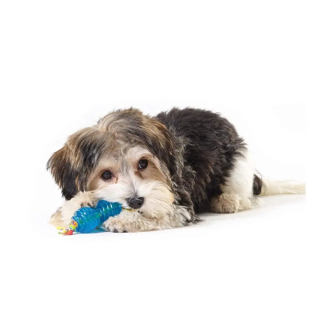 Petstages Orka Chew Pair Petite