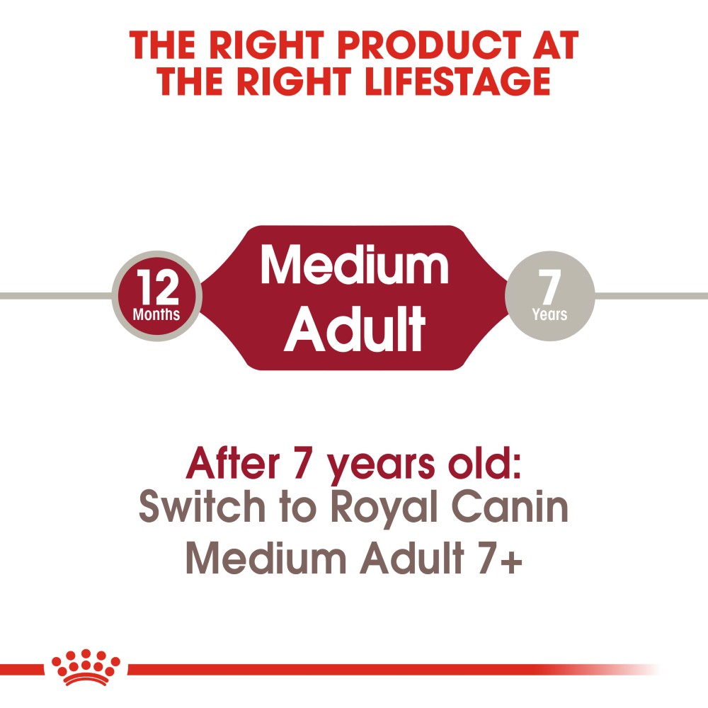 Royal Canin Medium Adult Dog Infographic 1