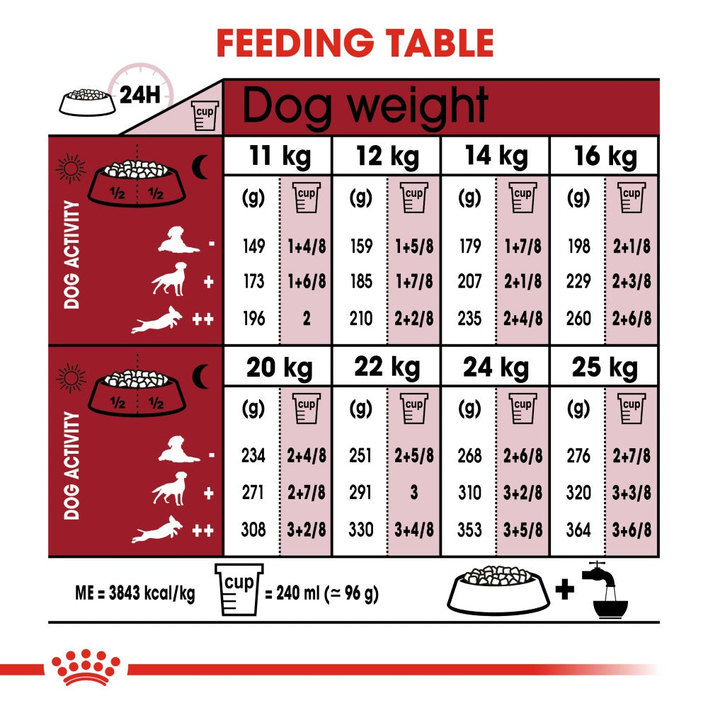 Royal Canin Medium Adult Dog Infographic 4