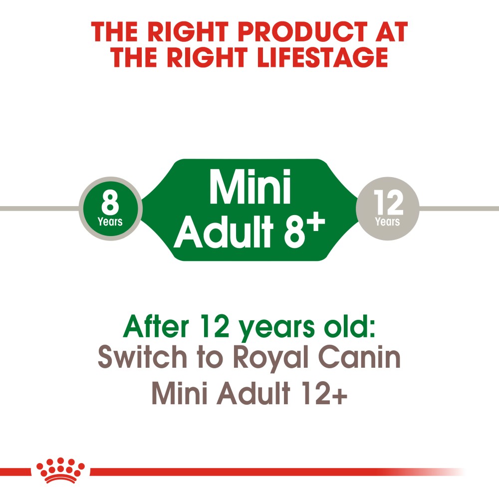 Royal Canin Mini Adult Dog 8+ infographic 1