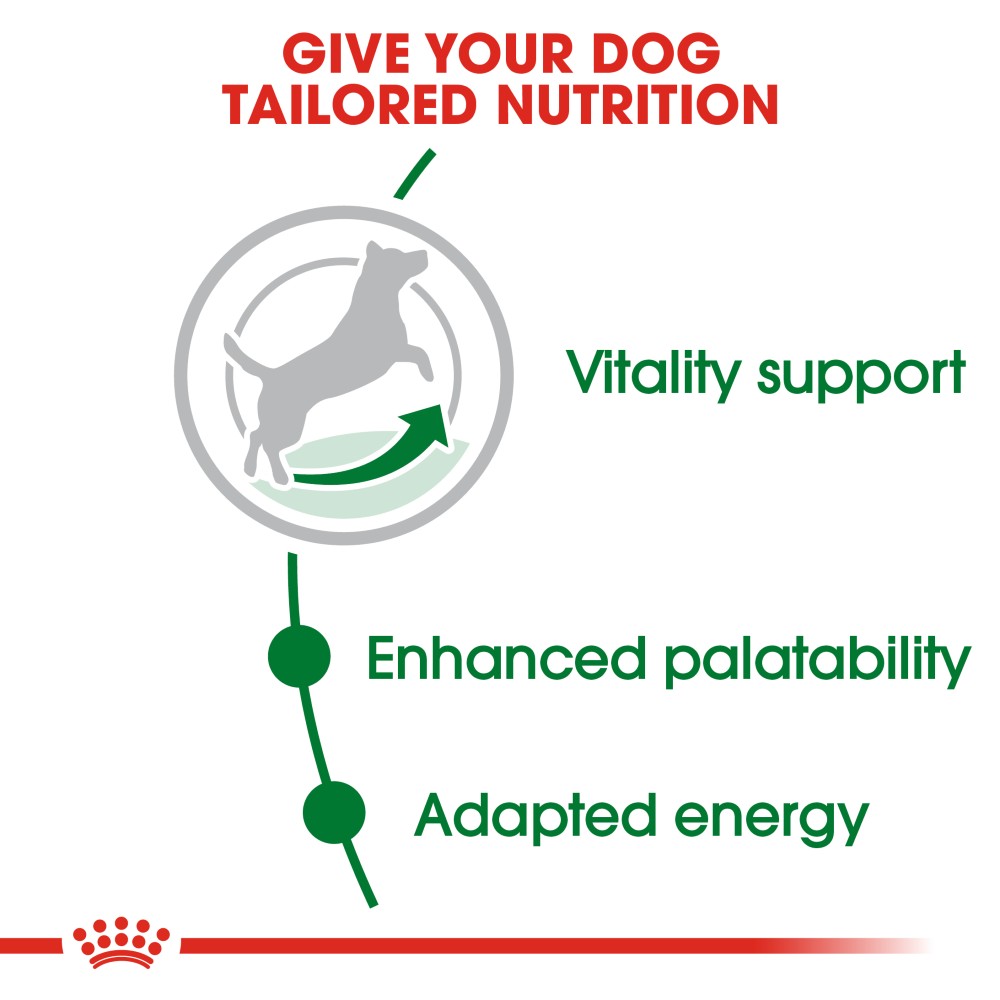 Royal Canin Mini Adult Dog 8+ infographic 2