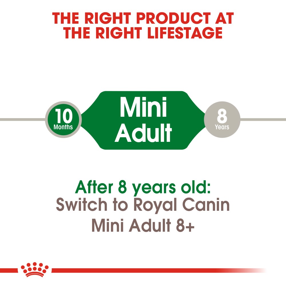 Royal Canin Mini Adult Dog Infographic 1