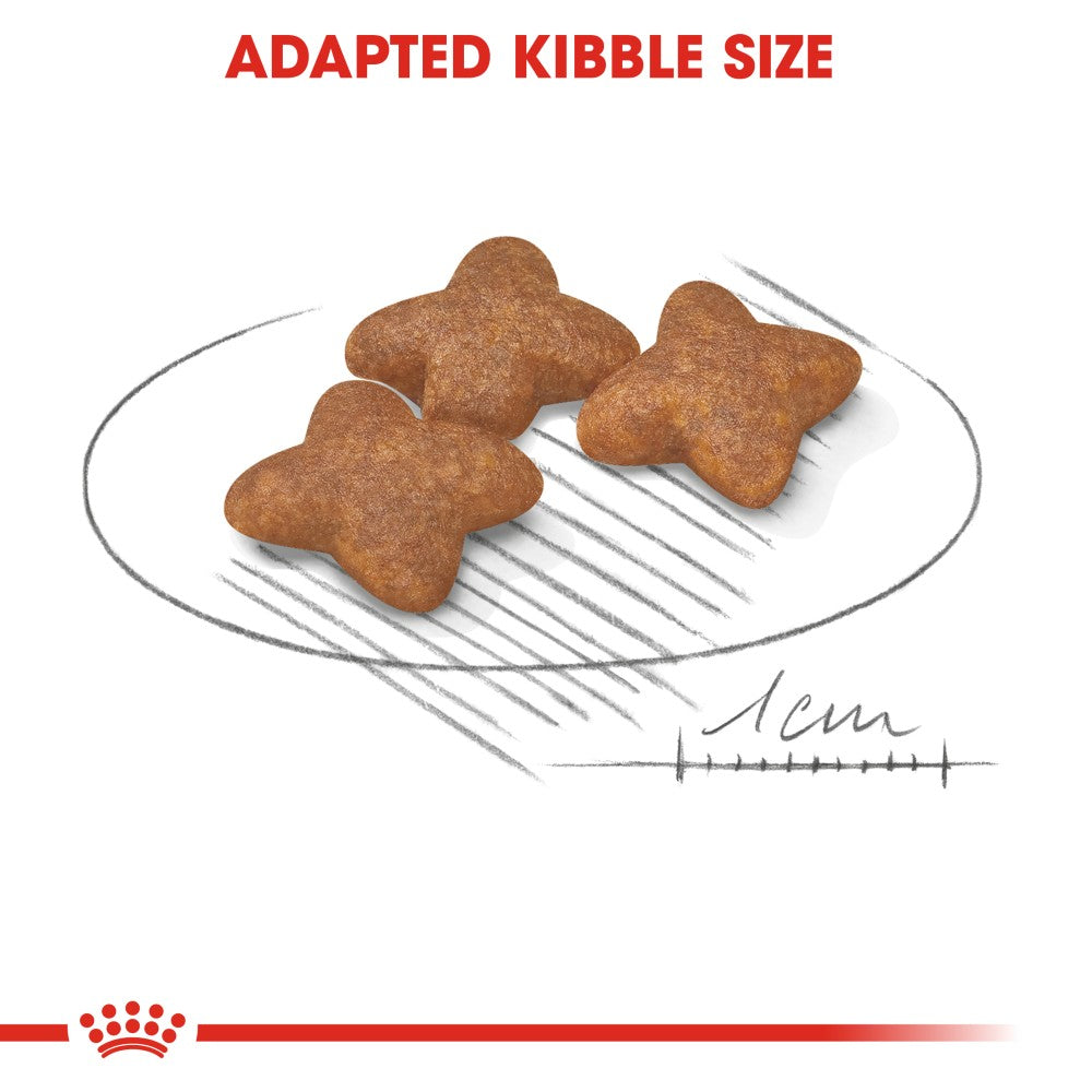 Royal Canin Mini Adult Dog Infographic 3