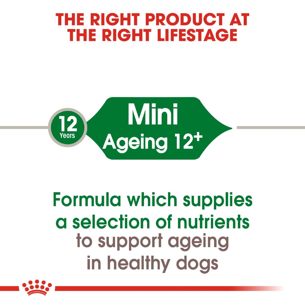 Royal Canin Mini Ageing +12 Dog Infographic 1