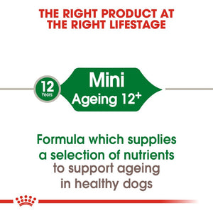 Royal Canin Mini Ageing +12 Dog Infographic 1