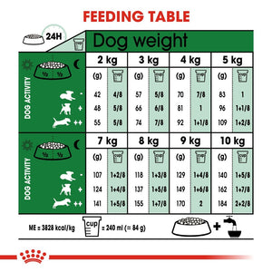 Royal Canin Mini Ageing +12 Dog Infographic 4