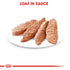 Royal Canin Dermacomfort Dog Loaf Infographic 5