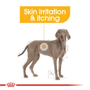 Royal Canin Dog Dermacomfort - Maxi - Infographic 7