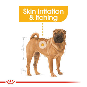 Royal Canin Dog Dermacomfort - Medium Infographic 2