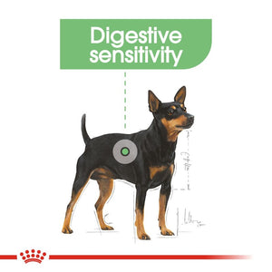 Royal Canin Digestive Care Dog Loaf 85g Infographic 1