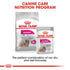 Royal Canin Exigent Dog Loaf 85g Infographic 4