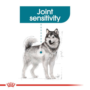 Royal Canin Dog Joint Care - Maxi Infographic 6