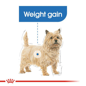 Royal Canin Light Weight Care Dog Loaf 85g Infographic 1