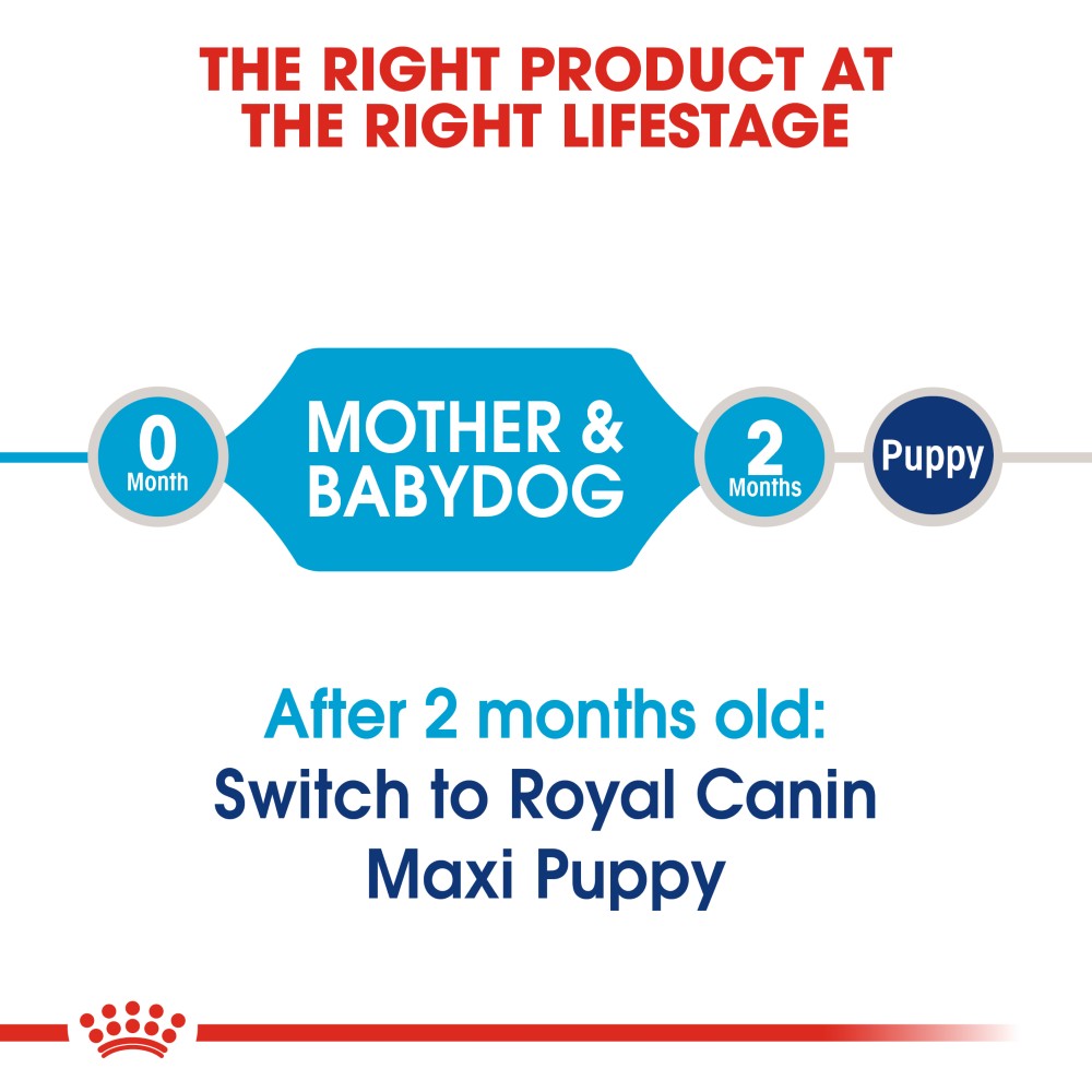 Royal Canin Maxi Starter Mother & Baby Dog Infographic 1