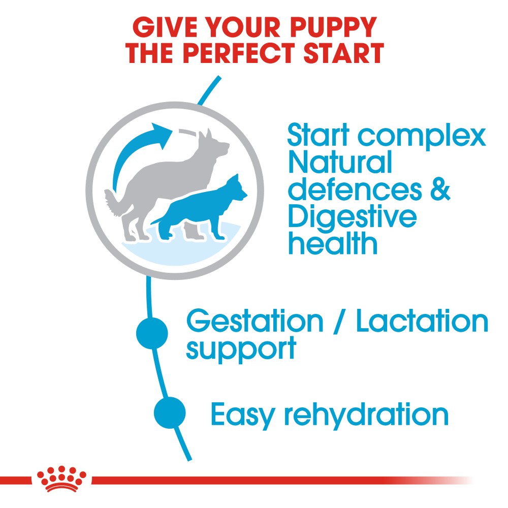 Royal Canin Maxi Starter Mother & Baby Dog Infographic 2