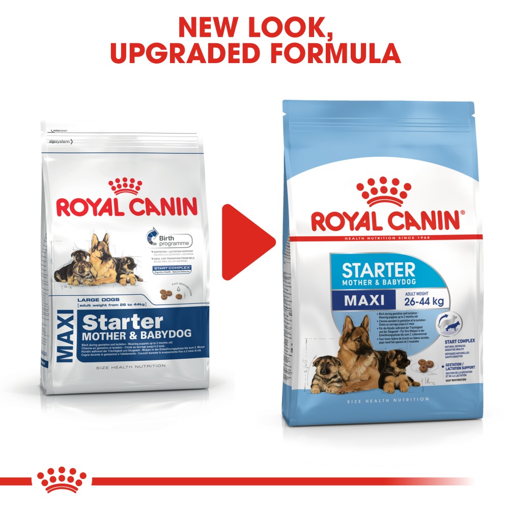 Royal Canin Maxi Starter Mother & Baby Dog Infographic 7