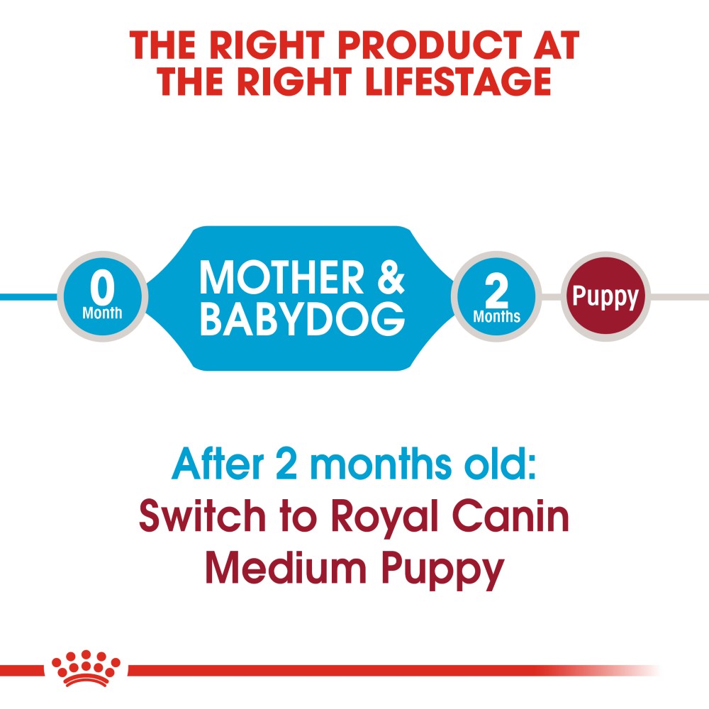 Royal Canin Medium Starter Mother & Baby Dog Infographic 1