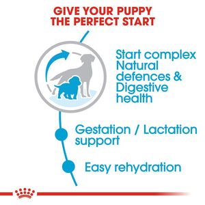 Royal Canin Medium Starter Mother & Baby Dog Infographic 2