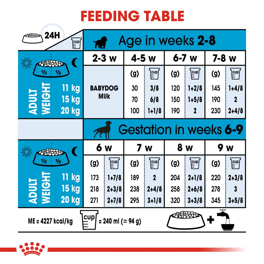 Royal Canin Medium Starter Mother & Baby Dog Infographic 6