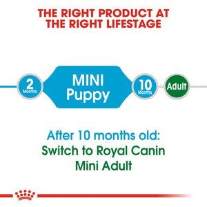 Royal Canin Mini Puppy Infographic 1