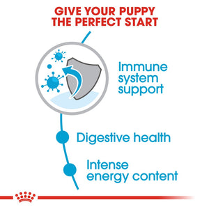 Royal Canin Mini Puppy Infographic 2