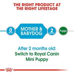 Royal Canin Mini Starter Mother & Baby Dog Infographic 1
