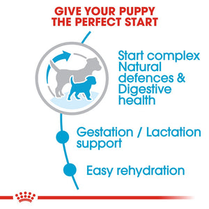 Royal Canin Mini Starter Mother & Baby Dog Infographic 2