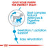 Royal Canin Mini Starter Mother & Baby Dog Infographic 2