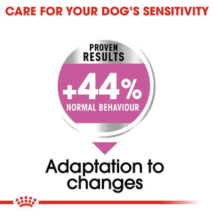 Royal Canin Dog Relax Care - Maxi Infographic 2