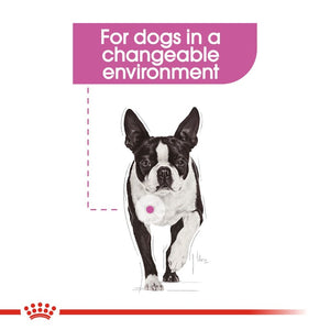 Royal Canin Relax Care Dog Loaf 85g Infographic 1